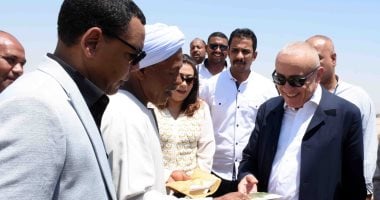 محافظ الأقصر يتفقد أعمال توصيل التغذية الكهربائية بالمنطقة الصناعية في البغدادى