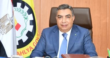 محافظ الدقهلية يؤكد جاهزية اللجان الانتخابية لاستقبال الناخبين بكل كفاءة