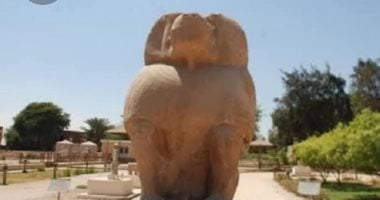 مقر عبادة الإله جحوتي: مدينة الأحياء الأثرية في المنيا تكشف تاريخًا عريقًا بالصور