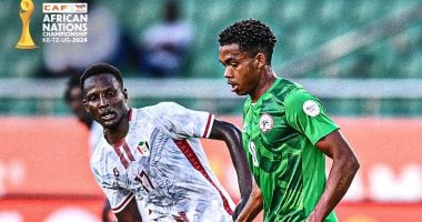 هدف حاسم يبعد السودان عن نهائي أمم أفريقيا للمحليين