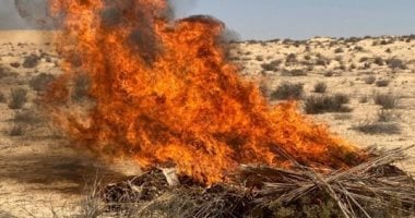 وزارة الداخلية تحرق حدائق الشيطان وتضبط مخدرات بقيمة 795 مليون جنيه (صور)