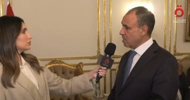 وزير الخارجية يؤكد أن الرئيس السيسي يقود سياسة نشطة وتواصل مصر جهودها الداعمة للقضية الفلسطينية