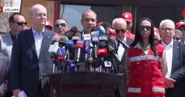 وزير الخارجية يؤكد التزام مصر بالدفاع عن حدودها وفقًا لاتفاقية السلام مع إسرائيل