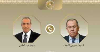 وزير الخارجية يطالب نظيره الروسي بالضغط على إسرائيل لقبول وقف إطلاق النار في غزة