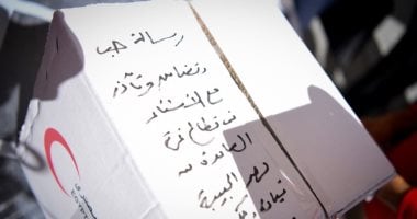وزير الخارجية يوجه رسالة حب وتضامن من مصر إلى سكان غزة