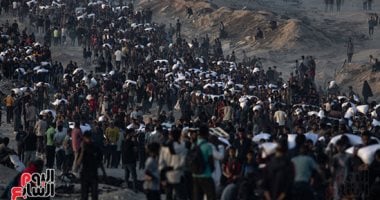 نكبة القرن.. 700 يوم على إبادة غزة.. سيرة عصابة صارت بلدا.. سفاحون صغار وأوهام كبرى
