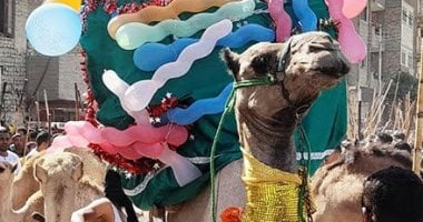 الطرق الصوفية وأهالي قنا يحتفلون بالمولد النبوي عبر فعاليات الدورة التأملية