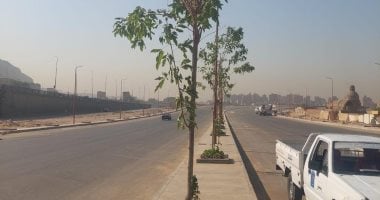 بدء عمليات زراعة محور صلاح سالم الجديد في إطار مبادرة 100 مليون شجرة