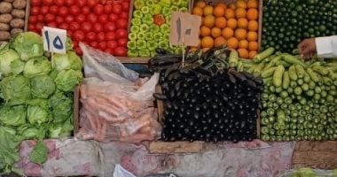 تموين الأقصر تعلن افتتاح 31 سوقاً يومياً ضمن مرحلتي المبادرة بالصور