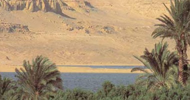 خطة استثمار الأراضي جنوب بحيرة قارون في الفيوم وأبرز التفاصيل