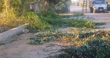 رفع 4 أطنان من القمامة وترميم البلدورات بطريق الحزام الأخضر في الأقصر