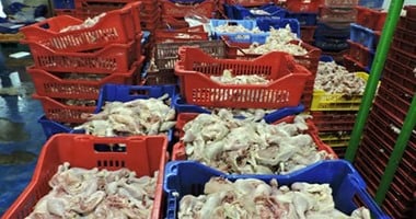 ضبط 9 أطنان من هياكل الدواجن الفاسدة في حملة مكبرة لمديرية الطب البيطري