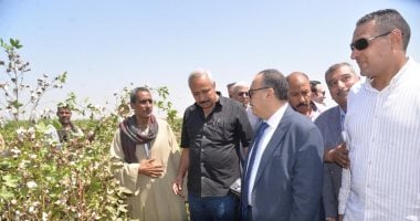 محافظ أسيوط يفتتح موسم جني القطن ويؤكد عودة الذهب الأبيض لمكانته