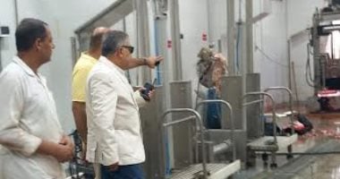 محافظ الدقهلية يتابع انتظام العمل ورفع كفاءة الخدمات في مجزر المنصورة