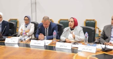 مستقبل دراسات الشباب في مصر والمنطقة العربية في نقاشات مكتبة الإسكندرية
