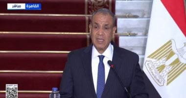 وزير الخارجية: المجاعة في غزة كارثة إنسانية من صنع الاحتلال الإسرائيلي