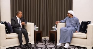 وزير الخارجية ونظيره الإماراتي يؤكدان الاعتزاز بالعلاقات المتميزة بين مصر والإمارات
