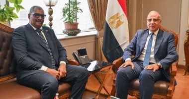 وزيرا الرى المصري والسوداني يؤكدان أهمية الحفاظ على مسار مبادرة حوض النيل